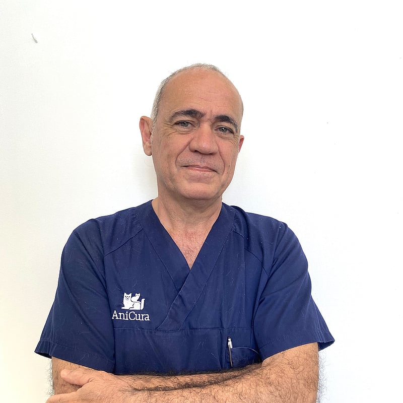 Photo of Jose Rial Cels, Practice Manager And Veterinary Director