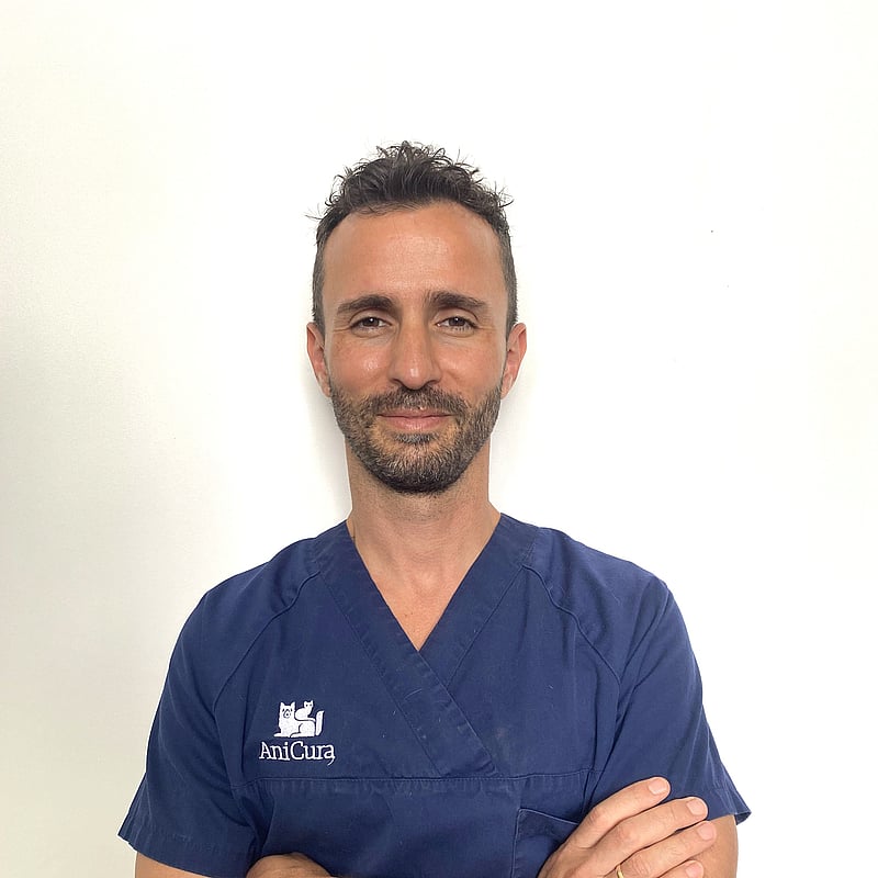 Photo of Khalil Ben Abdallah, Veterinary