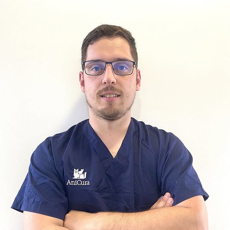 Photo of Juan José Pérez Hernández, Veterinarian