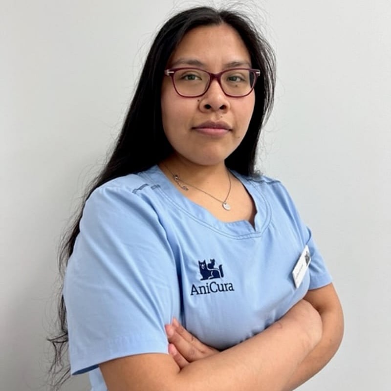 Foto de Karina Velarde Montaño, Auxiliar De Veterinario