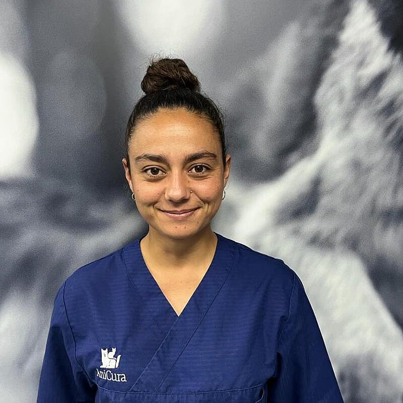 Foto de Roser Colls Dorca, Veterinaria De Urgencias Y Uci