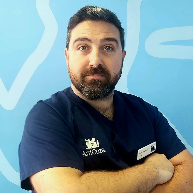 Foto de Bruno Callejo Moral, Veterinario