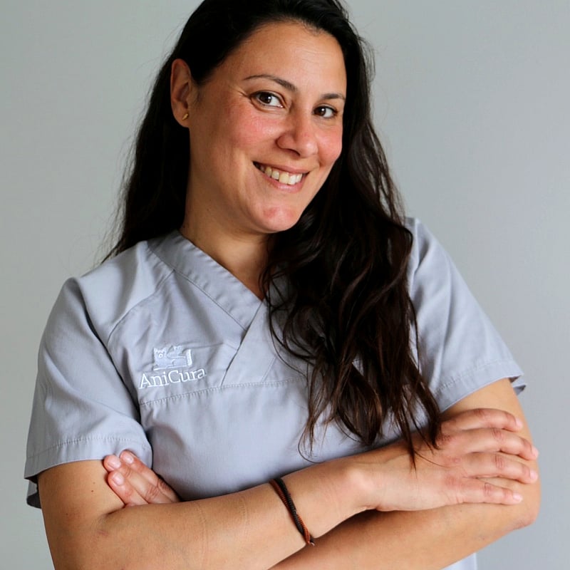 Foto de Elisabet Navarro Cara, Recepción