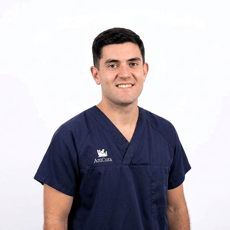 Foto de Álvaro Salmoral, Veterinario
