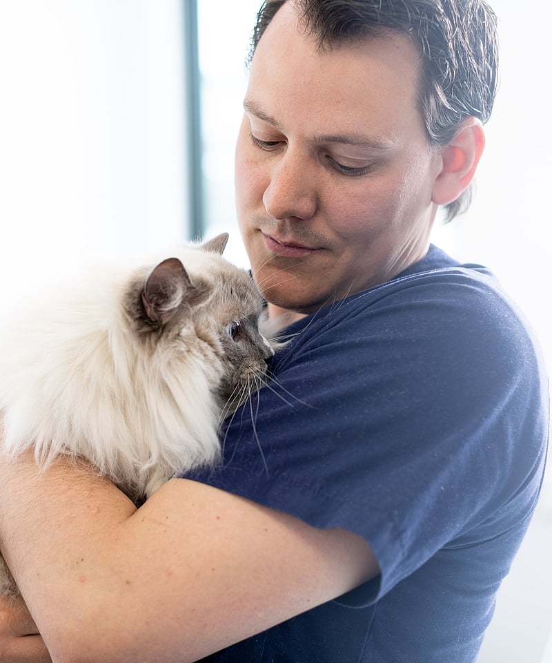 Una persona sosteniendo un gato.