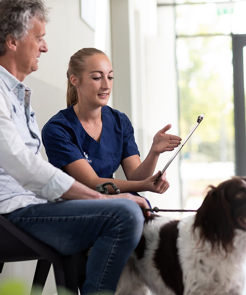 Una persona y una persona sentada en una silla con un perro.