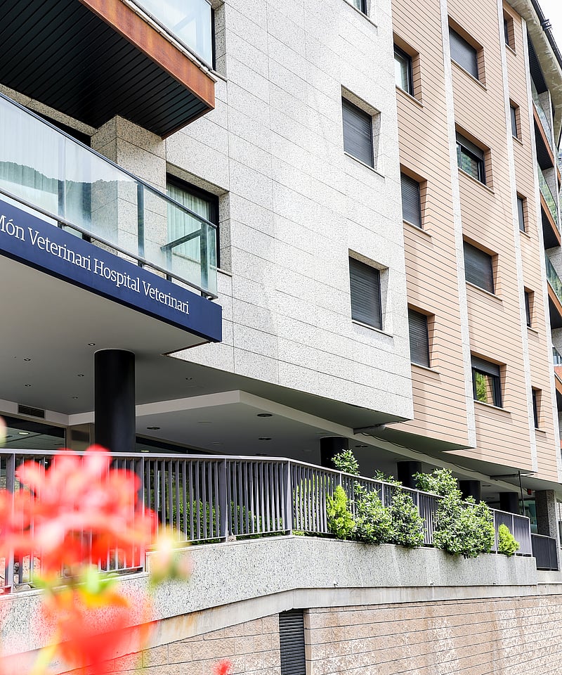 Un edificio con barandilla y flores.