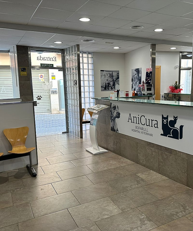 Un mostrador de recepción en un edificio.