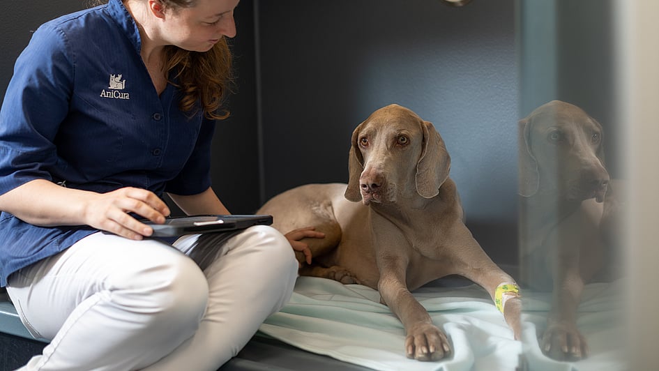 Una persona sentada en una cama con un perro.