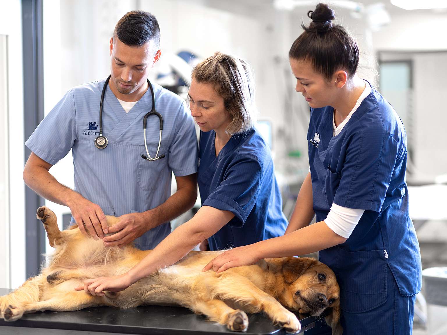 Equipo de AniCura Sant Antoni Clínica Veterinaria.