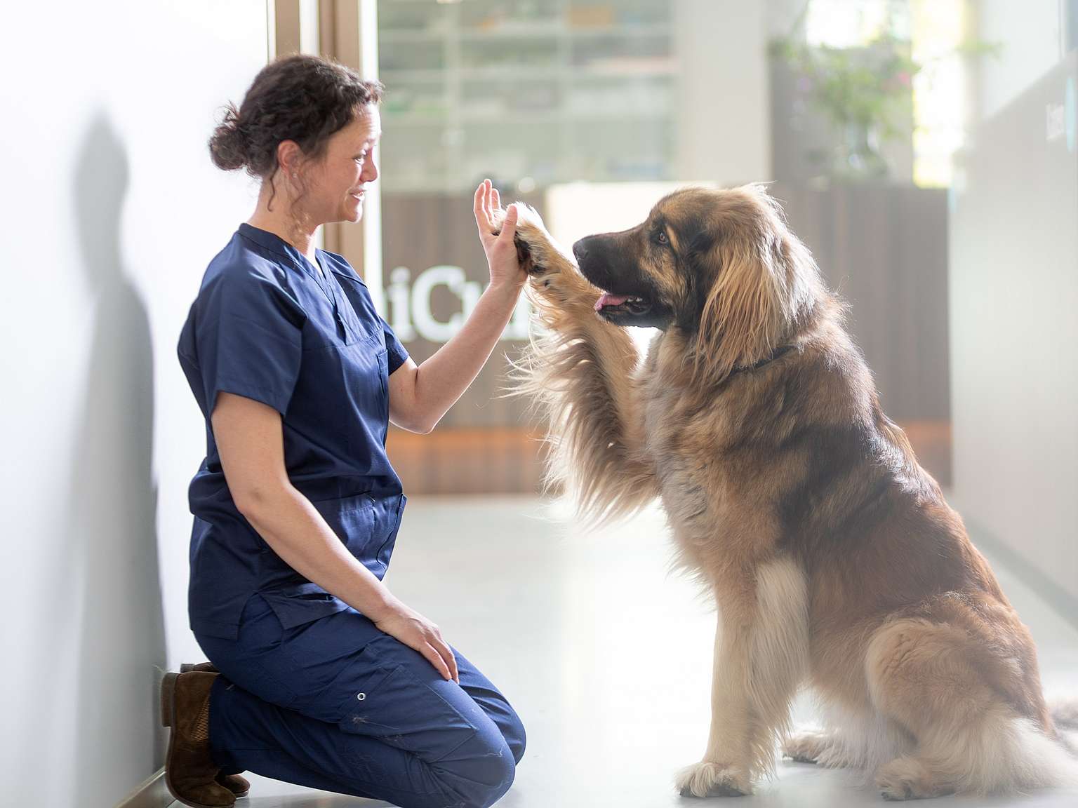 Equipo AniCura Canis i Felis Centro Veterinario