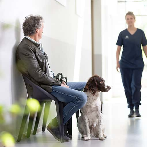 cliente na sala de espera do veterinário