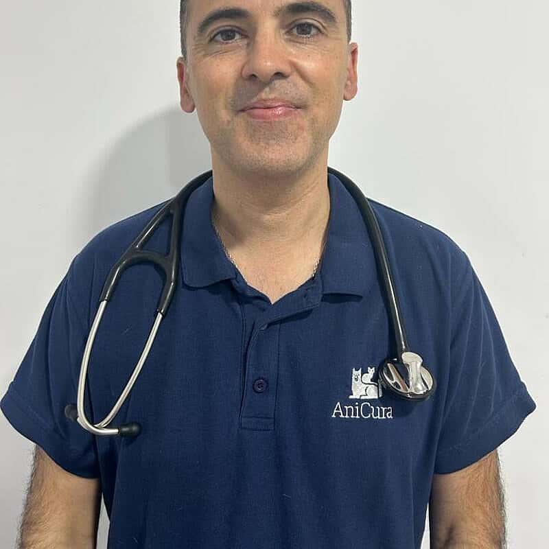 Jordi Expósito Rosales