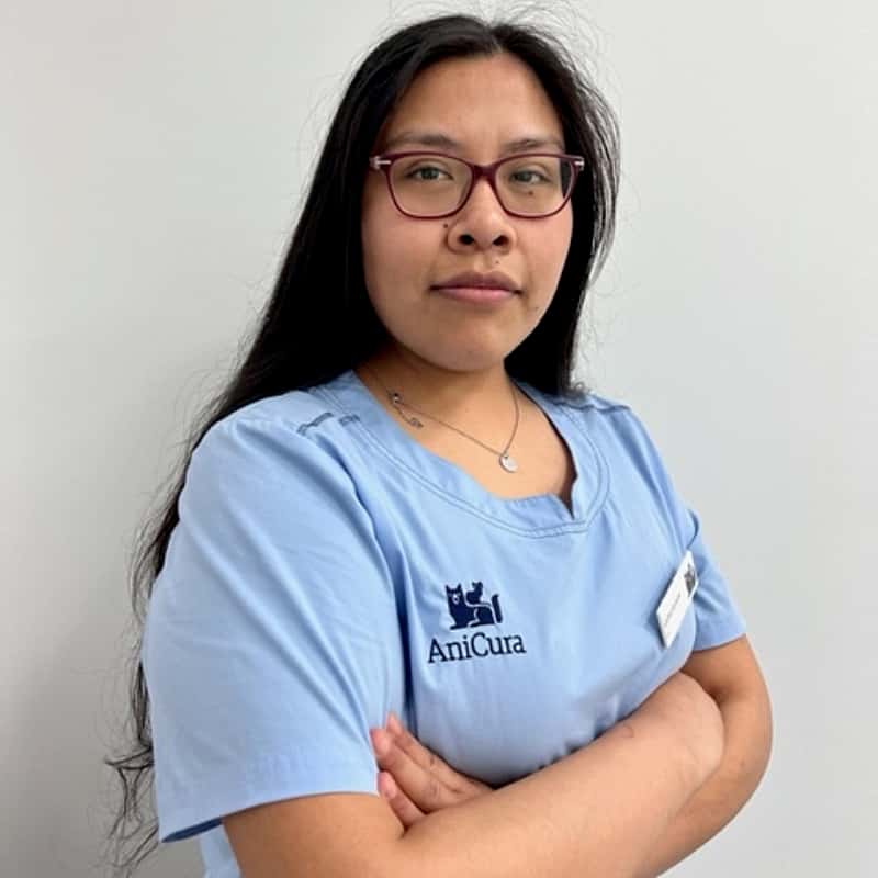 Karina Velarde Montaño