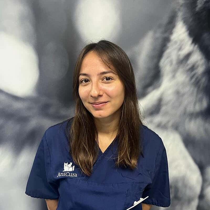 Jezabel Ribell Delgado