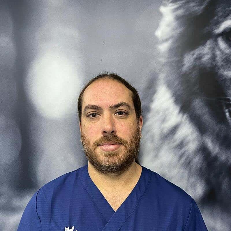 Daniel Aznal Prieto