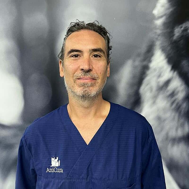 Jordi Lite Díaz