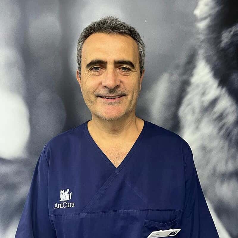 Josep Arús Marti