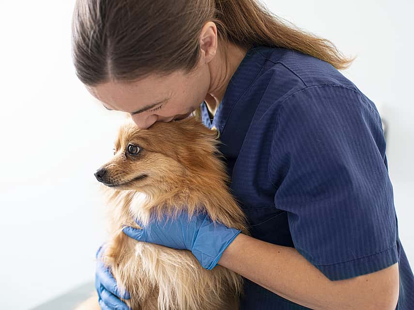 veterinaria abrazando un perro