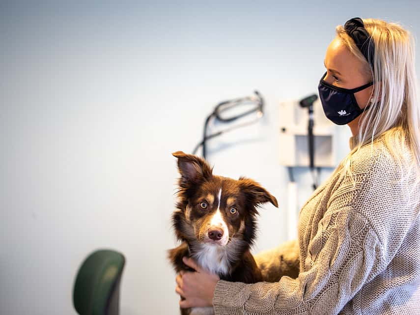 Cuarentena: ¿Cómo limpiar y cuidar los lentes de medida en casa