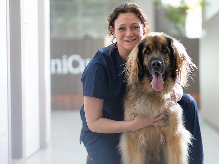 veterinaria con perro grande