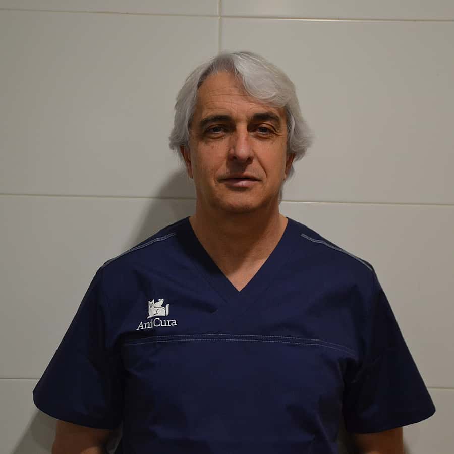 Jacob Bofarull Bosch