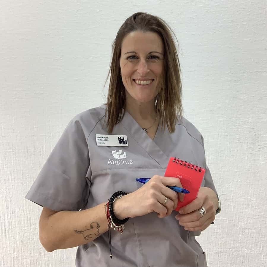 Pilar Botija