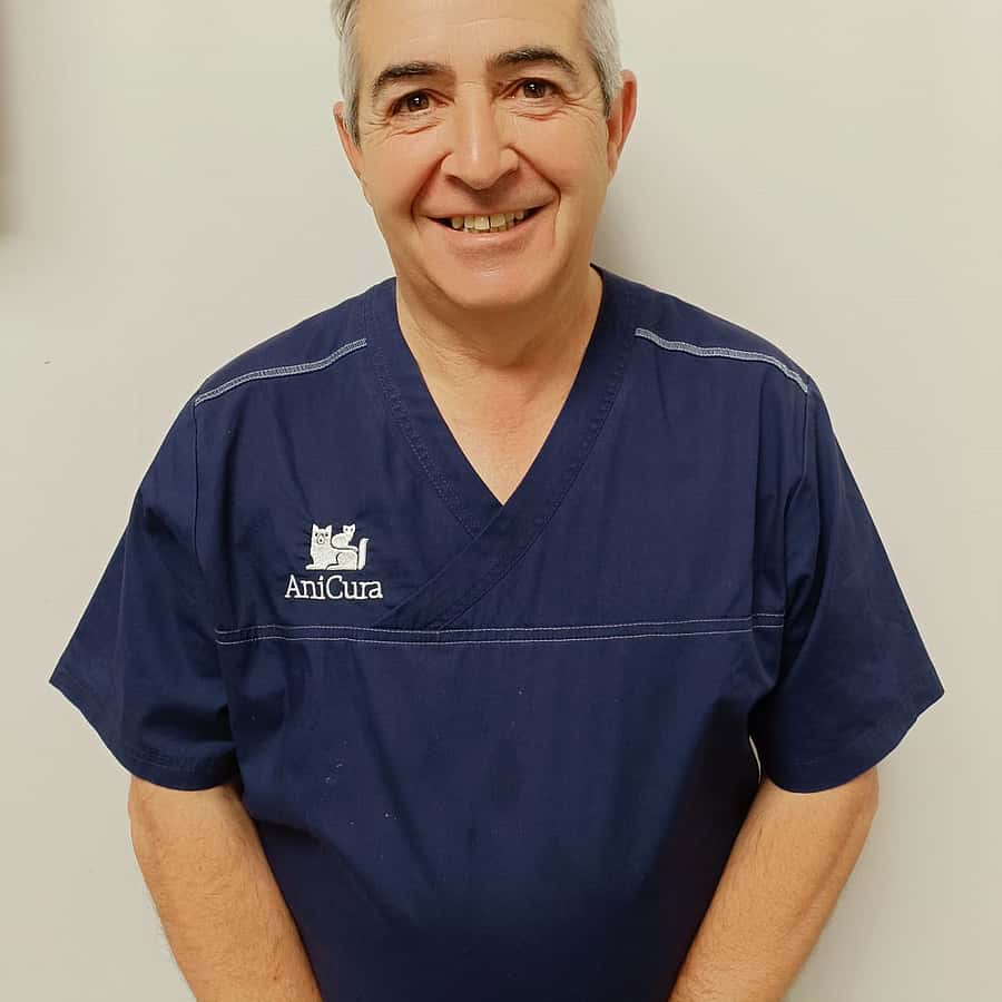 Jorge Vergara