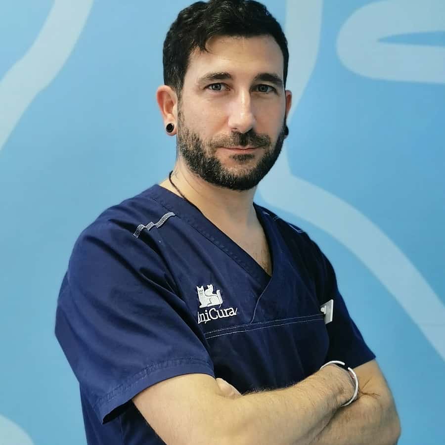 David Ruiz Pavón