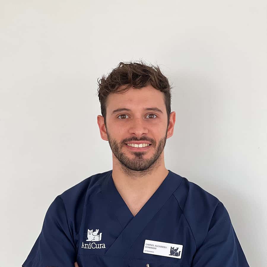 Gabriel Guarnieri