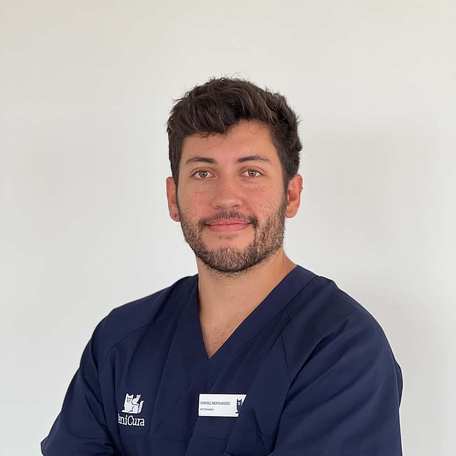 Daniel Hernández