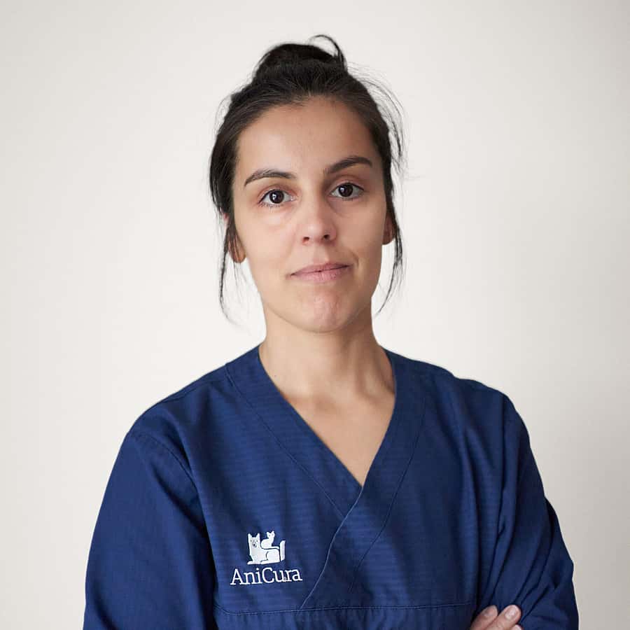 Joana Rodrigues