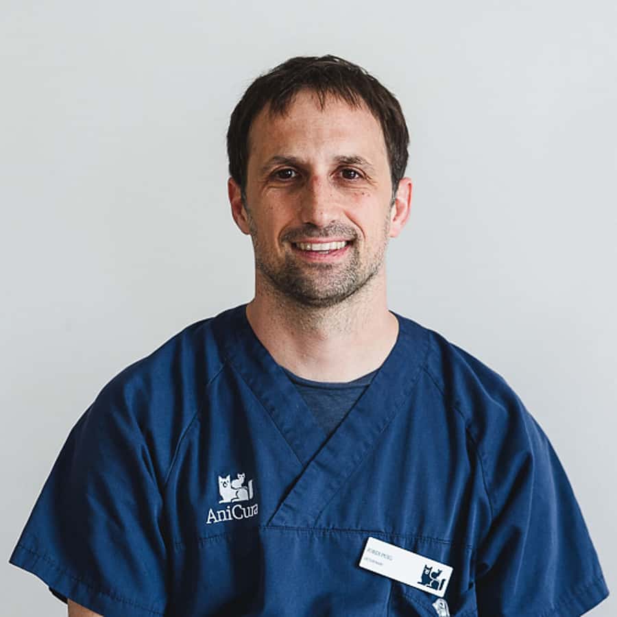 Jordi Puig