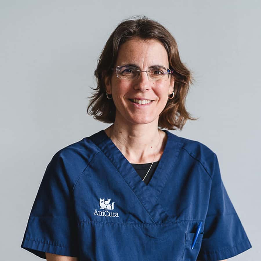 Mar Bardagí