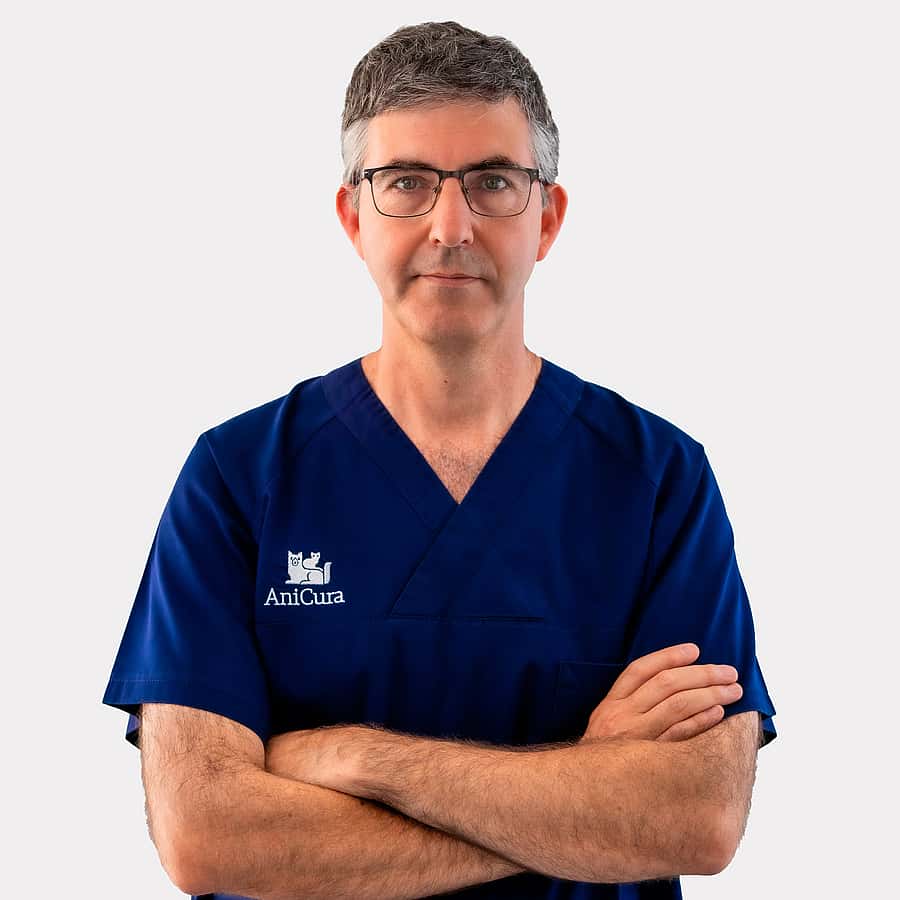 Xavier Soriano