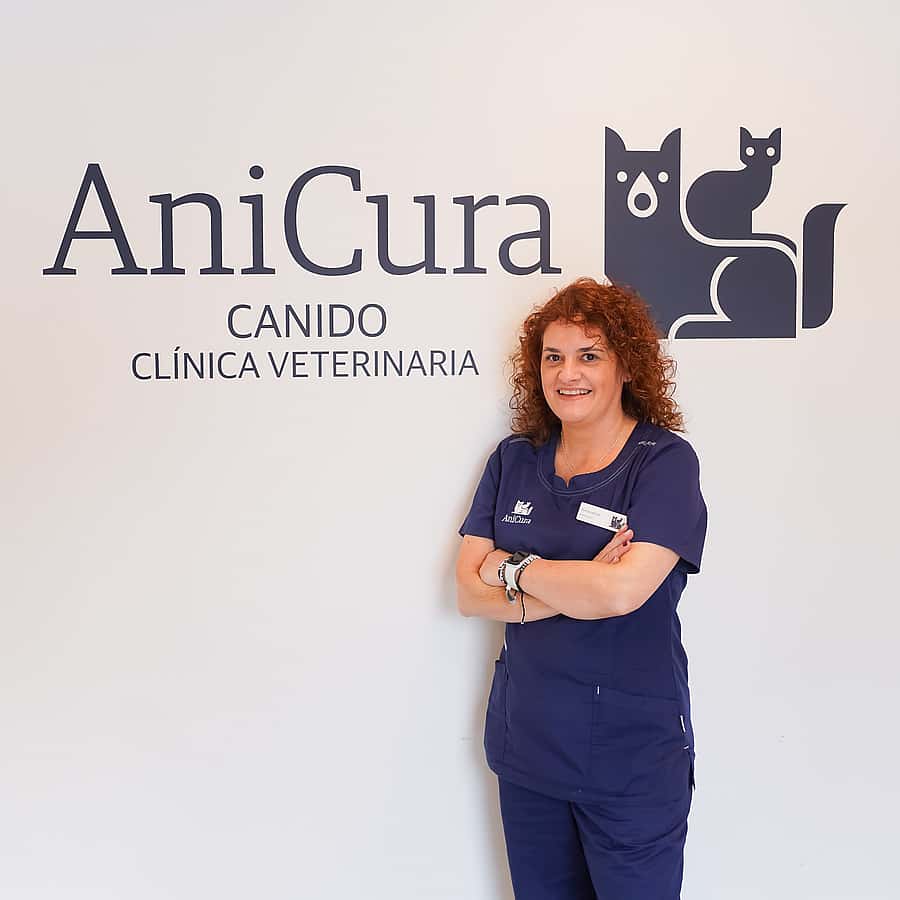 Araceli Regal Pita