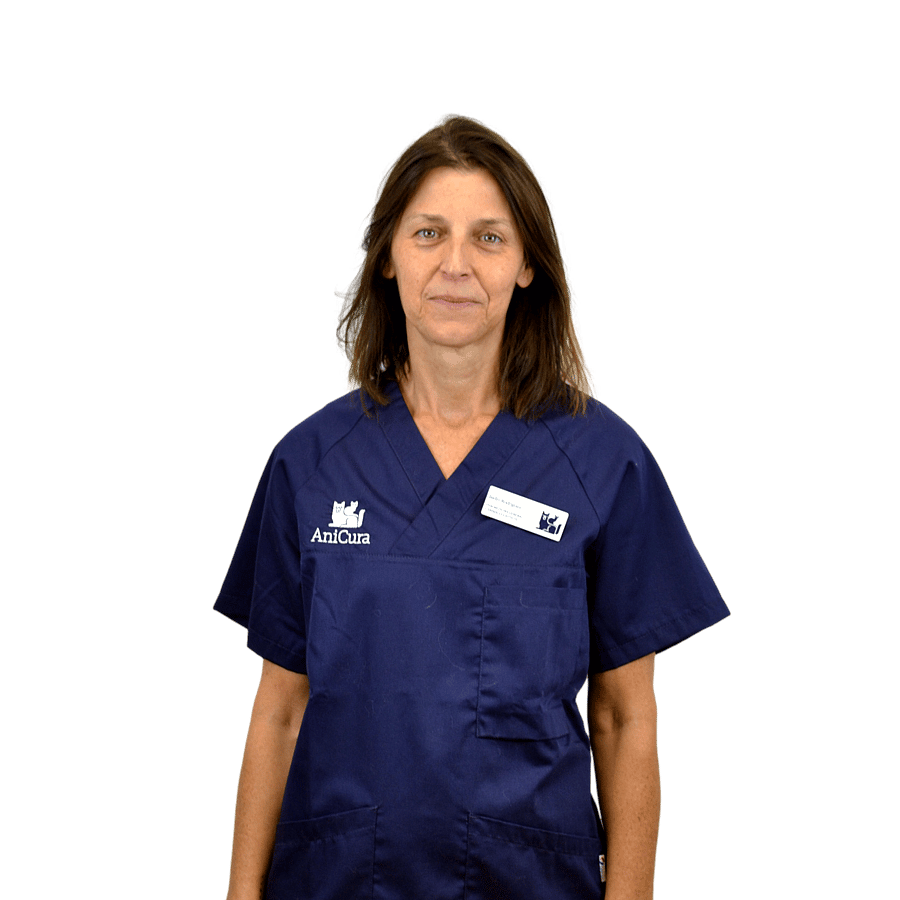 Montse Jorro