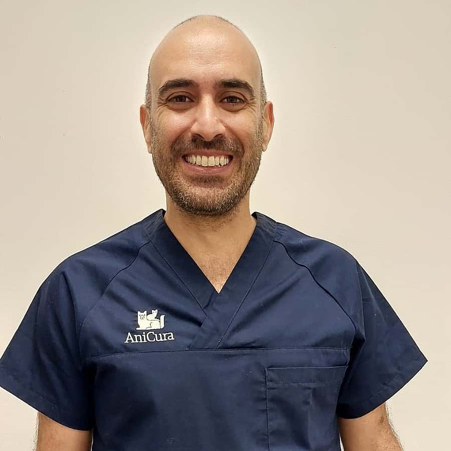 Jose Luis Mendoza Vega