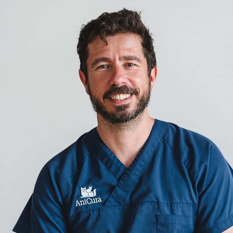 Francesc Osorio Camps