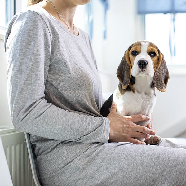 Una persona sosteniendo a un perro.