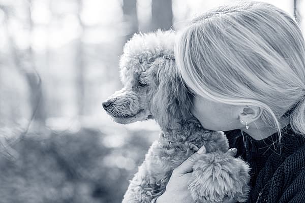 Una persona sosteniendo a un perro.