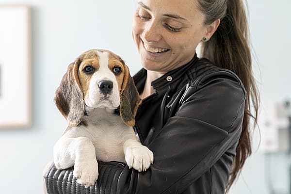 Una persona sosteniendo a un perro.