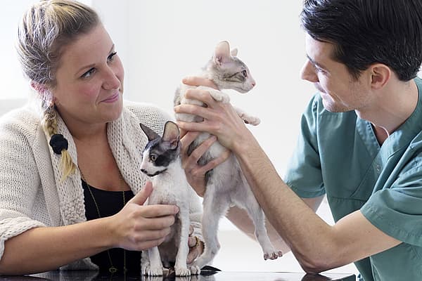 Una persona y una persona sosteniendo un gatito.