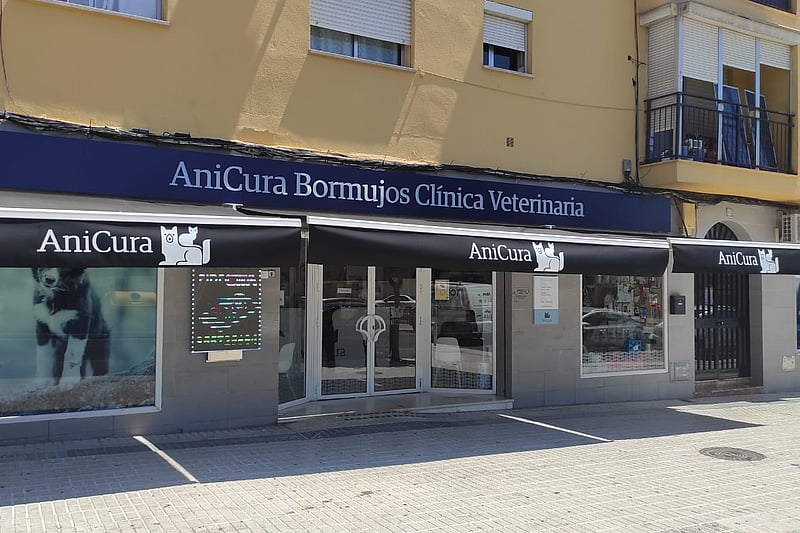 Un escaparate con toldos y ventanas.