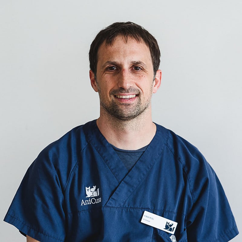 Foto de Jordi Puig, Veterinario
