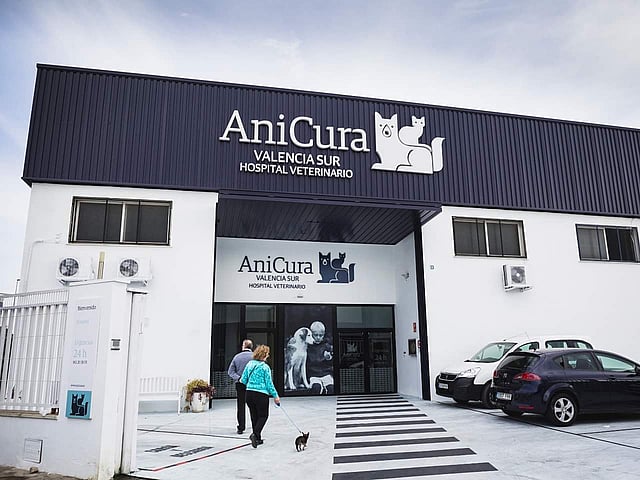 Una persona paseando a un perro fuera de un edificio.