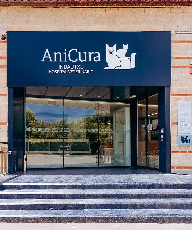 Un mostrador de recepción en un edificio.