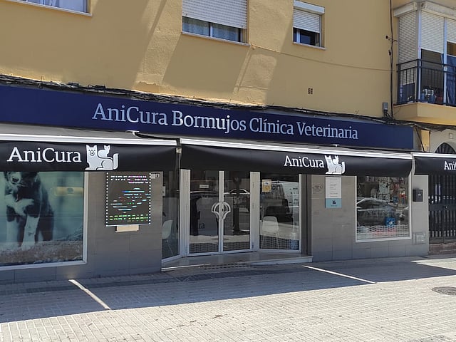 Un escaparate con toldos y ventanas.