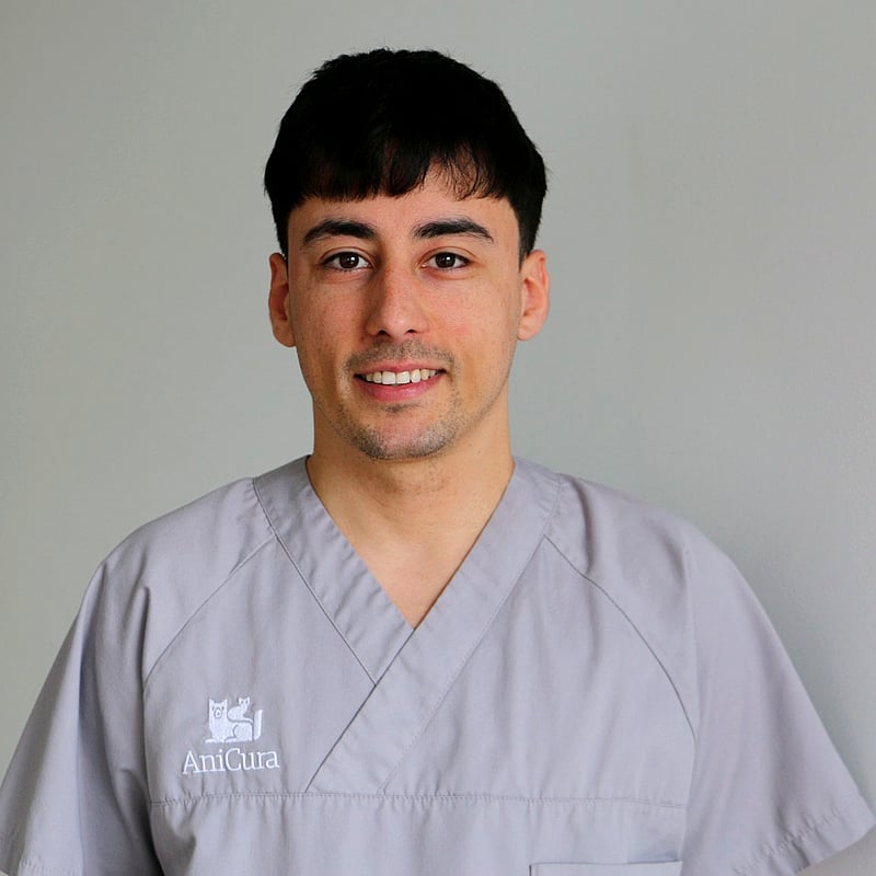 Foto de Joan, 