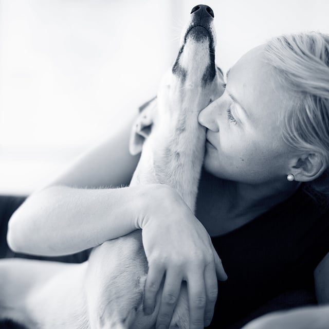 Una persona besando a un perro.